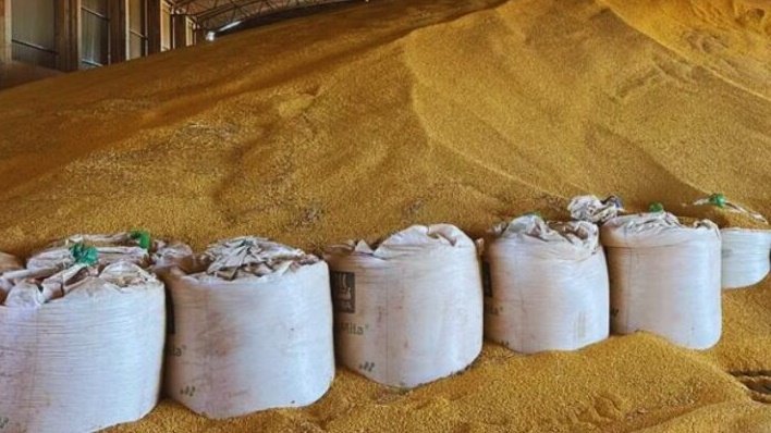 Governo autoriza compra de até 260 mil toneladas de milho e R$ 500 milhões em arroz para reforçar estoques públicos