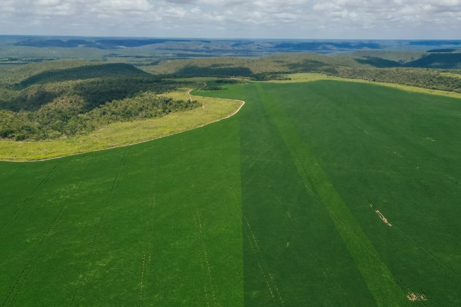 Terra no Matopiba segue valorizada, mas ritmo de alta perde força em 2026