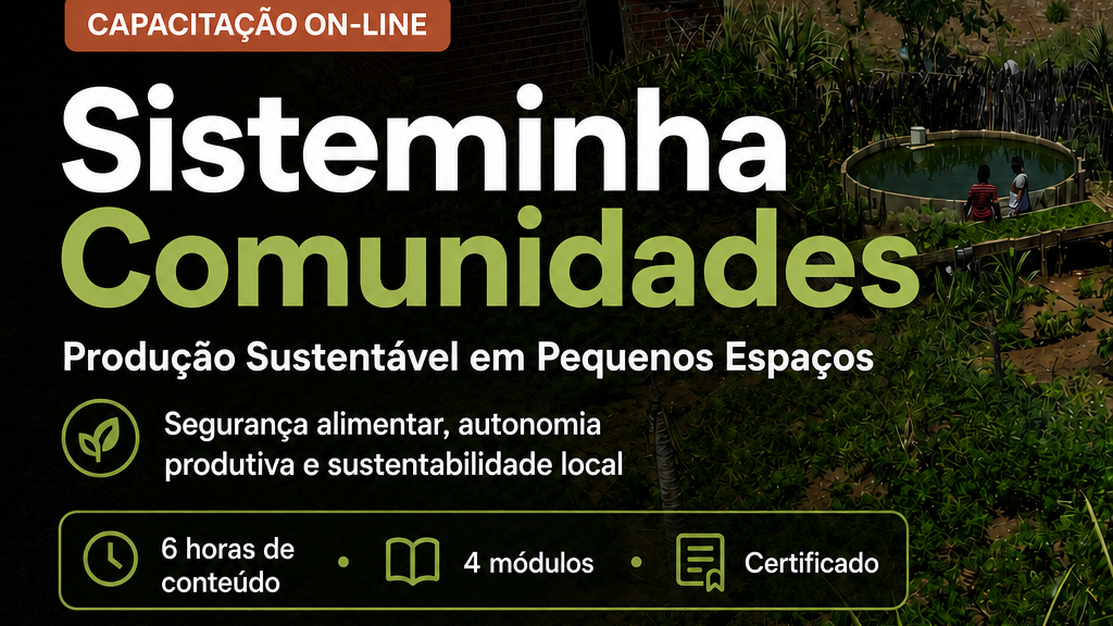 Embrapa Maranhão abre curso on-line que ensina a produzir alimentos em pequenos espaços