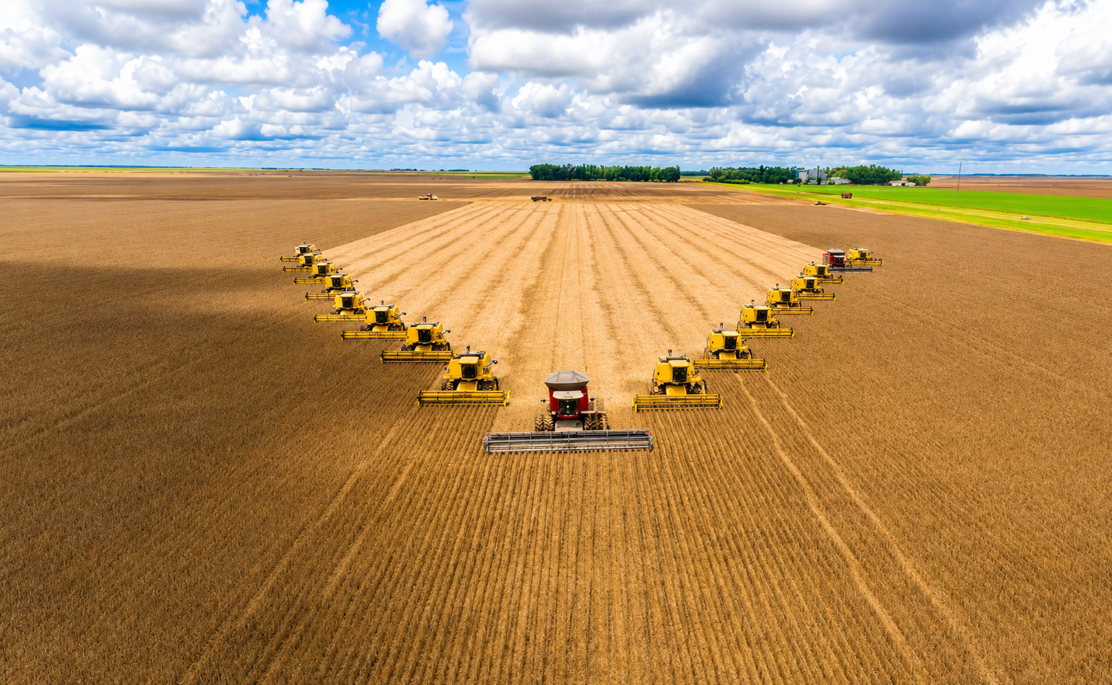 Maranhão já tem 1,62 milhão de hectares de soja plantada e segue crescendo, mostra levantamento