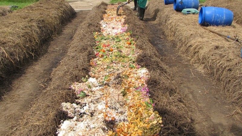 Como compostagem simples transforma resto de roça em adubo e ajuda a reduzir custos