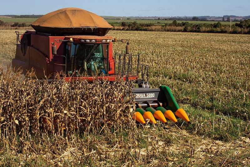 Ministra afirma que El Niño não deve pesar no preço dos alimentos em 2026