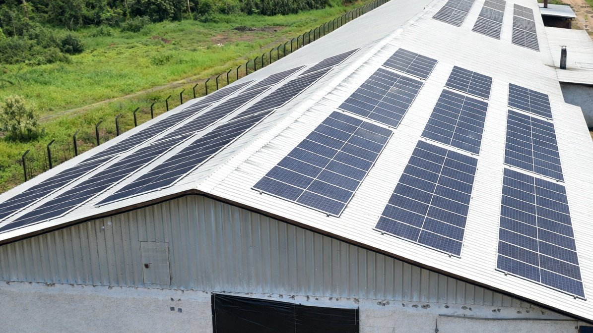 Dica: como a energia solar pode ajudar o produtor a gastar menos e lucrar mais