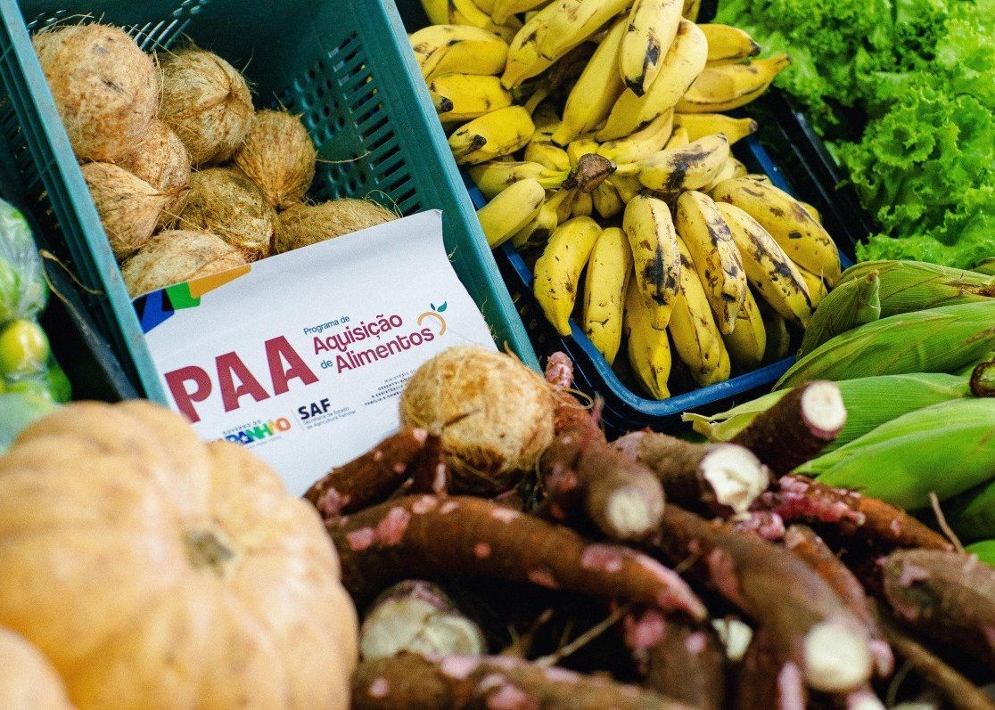 Agricultura familiar responde por parte relevante dos alimentos na mesa do maranhense