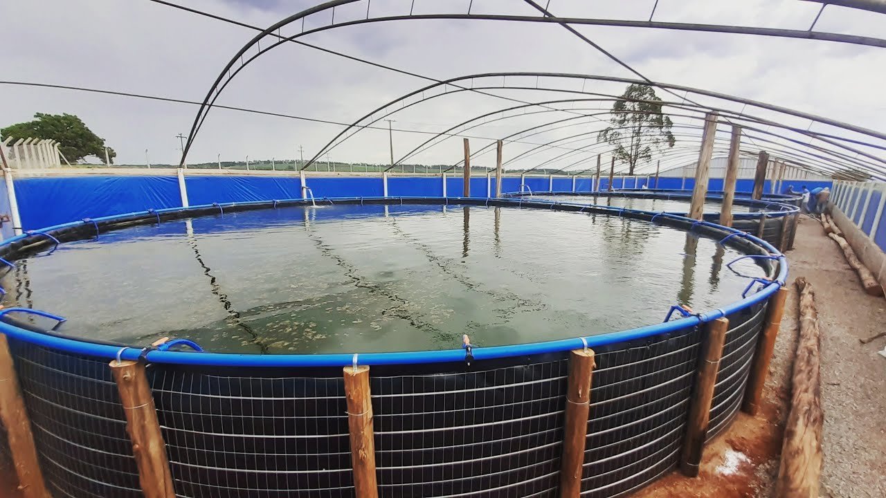 Conama aprova novas regras de licenciamento ambiental para a aquicultura no Brasil