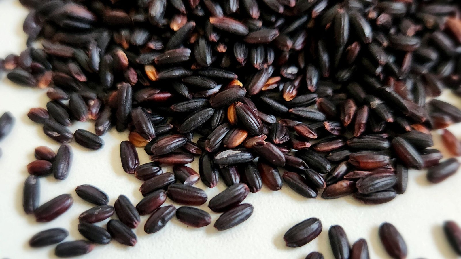 Arroz preto da Embrapa mira alta gastronomia e abre nicho para produtores