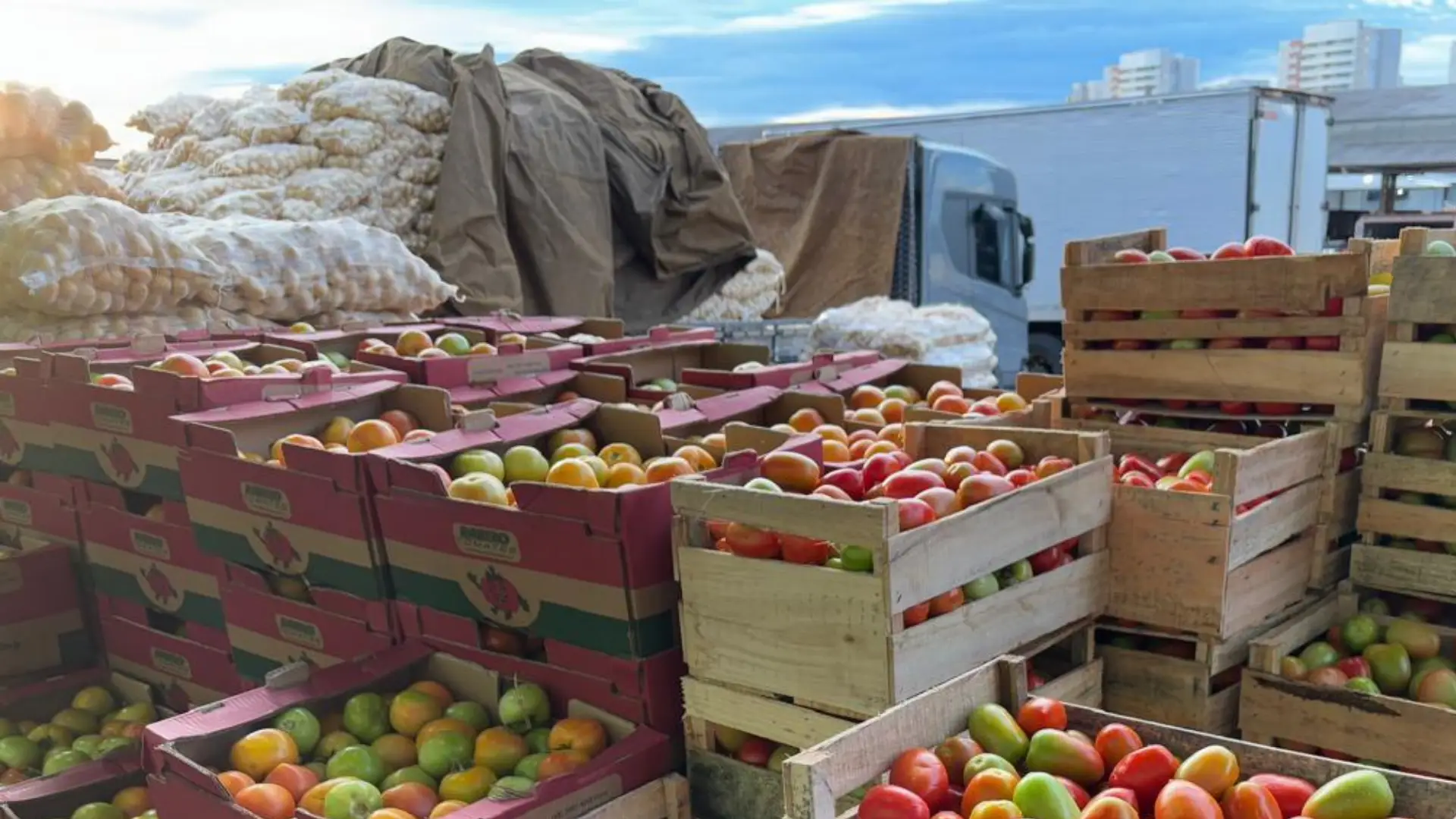 Batata, cebola e alface ficam mais baratas no atacado em agosto, aponta Conab