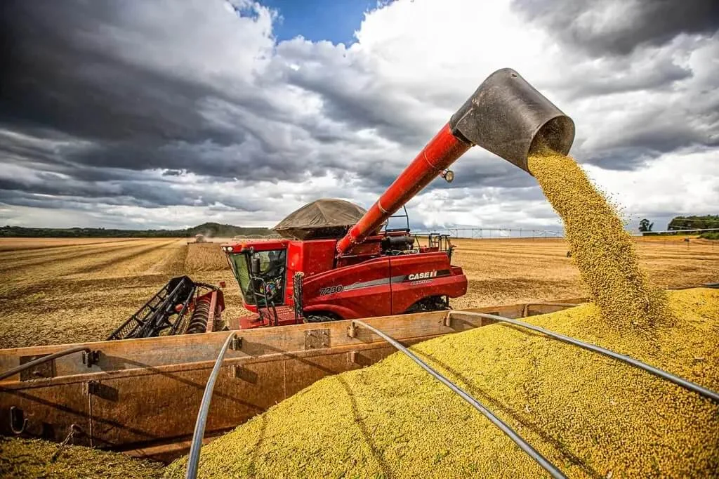 Dia Nacional do Cerrado: o bioma que sustenta metade da soja brasileira e abastece 8 das 12 grandes bacias do país