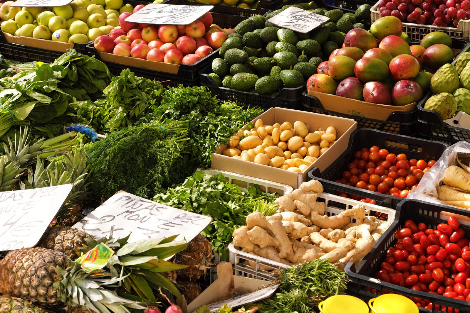 Setor de hortifrúti aposta em inteligência artificial e produtos prontos para aumentar o consumo de frutas e verduras no Brasil