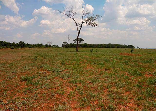 BNDES aprova R$ 200 milhões do Fundo Clima para recuperar áreas degradadas no Pará