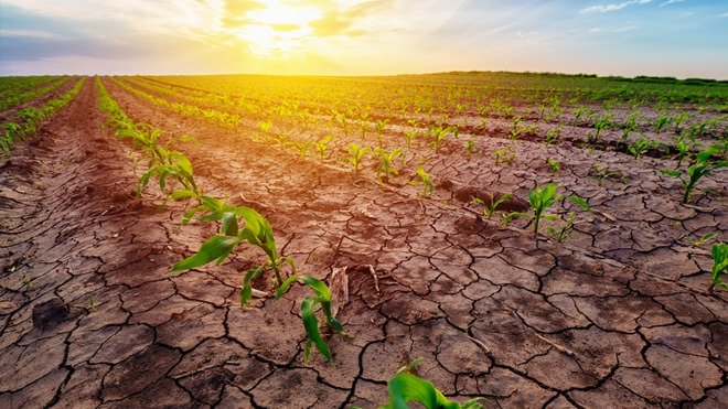 ONU alerta: aquecimento do planeta vai passar de 1,5°C e trazer mais riscos para quem trabalha no campo