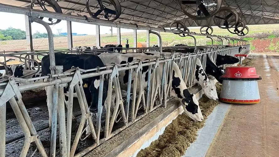 Família do Paraná produz 6.900 litros de leite por dia sem nunca ter feito financiamento