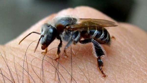 Chuva abaixo da média: como montar um plano de segurança hídrica