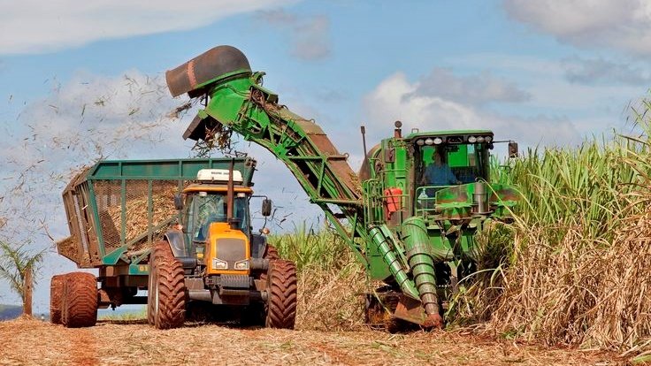 Chuvas atrasam colheita da cana e elevam preços do etanol e do açúcar em setembro