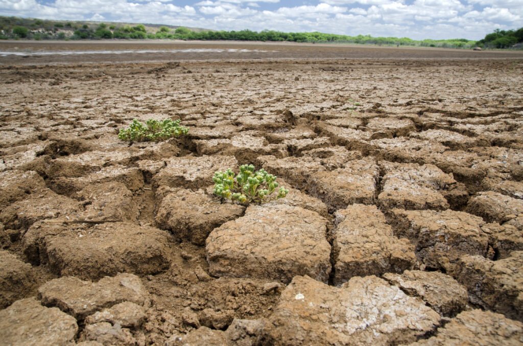 Nordeste: El Niño pode reduzir chuvas no Semiárido e Embrapa recomenda formar reservas de água